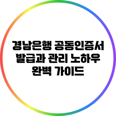 경남은행 공동인증서 발급과 관리 노하우 완벽 가이드