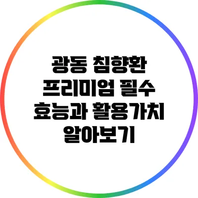 광동 침향환 프리미엄: 필수 효능과 활용가치 알아보기