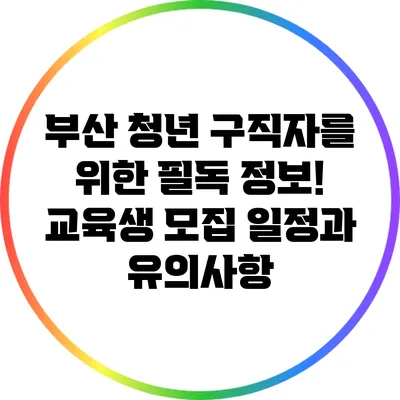 부산 청년 구직자를 위한 필독 정보! 교육생 모집 일정과 유의사항