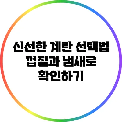 신선한 계란 선택법: 껍질과 냄새로 확인하기