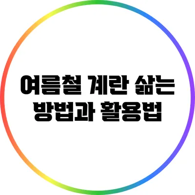 여름철 계란 삶는 방법과 활용법