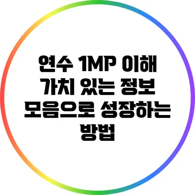 연수 1MP 이해: 가치 있는 정보 모음으로 성장하는 방법