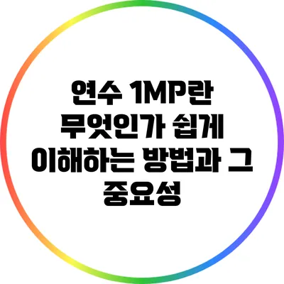 연수 1MP란 무엇인가? 쉽게 이해하는 방법과 그 중요성