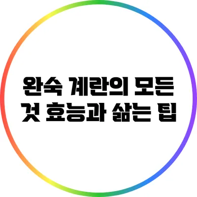 완숙 계란의 모든 것: 효능과 삶는 팁