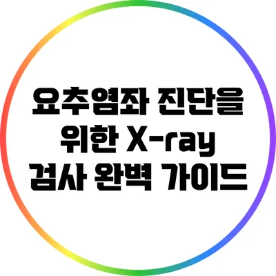 요추염좌 진단을 위한 X-ray 검사 완벽 가이드