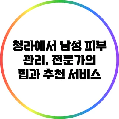 청라에서 남성 피부 관리, 전문가의 팁과 추천 서비스