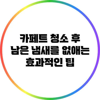 카페트 청소 후 남은 냄새를 없애는 효과적인 팁