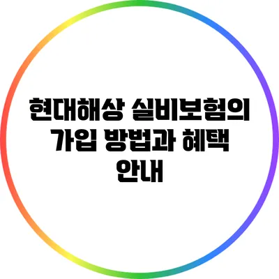 현대해상 실비보험의 가입 방법과 혜택 안내