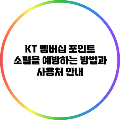 KT 멤버십 포인트 소멸을 예방하는 방법과 사용처 안내
