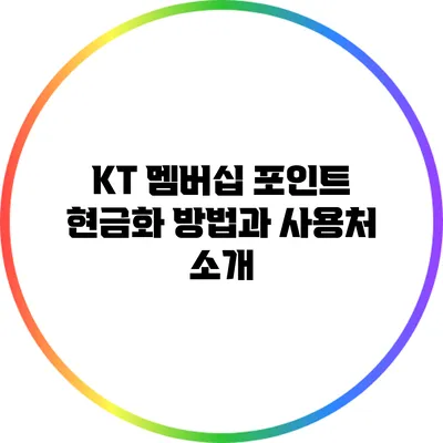 KT 멤버십 포인트 현금화 방법과 사용처 소개