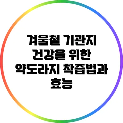 겨울철 기관지 건강을 위한 약도라지 착즙법과 효능