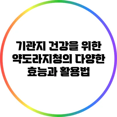 기관지 건강을 위한 약도라지청의 다양한 효능과 활용법