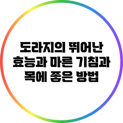 도라지의 뛰어난 효능과 마른 기침과 목에 좋은 방법