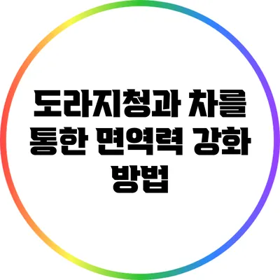 도라지청과 차를 통한 면역력 강화 방법