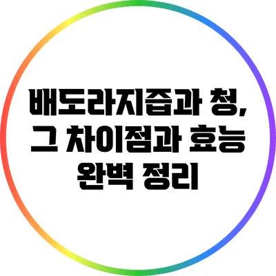 배도라지즙과 청, 그 차이점과 효능 완벽 정리