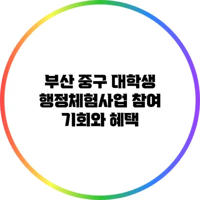 부산 중구 대학생 행정체험사업 참여 기회와 혜택