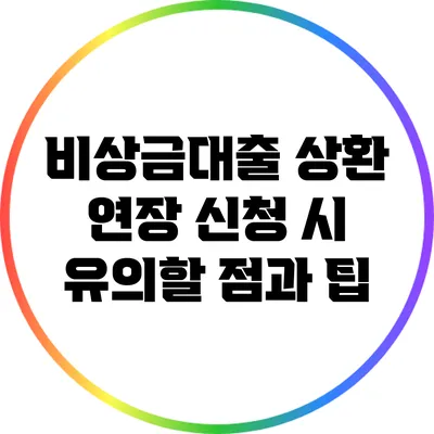 비상금대출 상환 연장 신청 시 유의할 점과 팁
