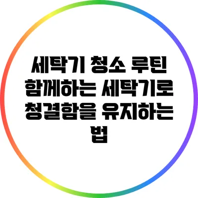 세탁기 청소 루틴: 함께하는 세탁기로 청결함을 유지하는 법