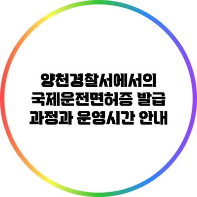 양천경찰서에서의 국제운전면허증 발급 과정과 운영시간 안내