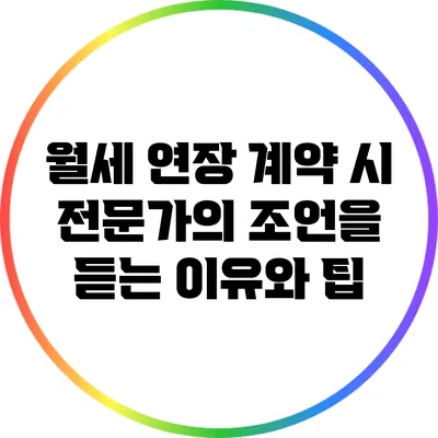 월세 연장 계약 시 전문가의 조언을 듣는 이유와 팁