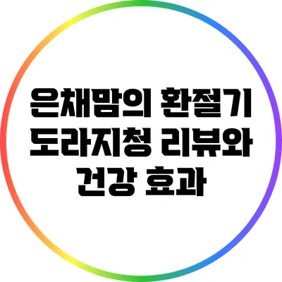 은채맘의 환절기 도라지청 리뷰와 건강 효과