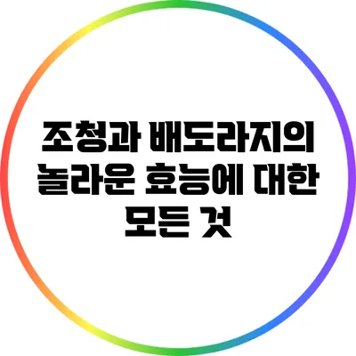 조청과 배도라지의 놀라운 효능에 대한 모든 것