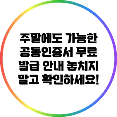 주말에도 가능한 공동인증서 무료 발급 안내: 놓치지 말고 확인하세요!