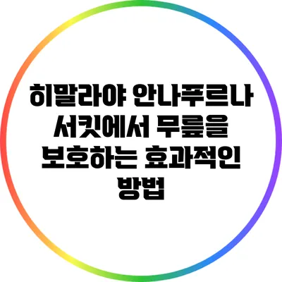 히말라야 안나푸르나 서킷에서 무릎을 보호하는 효과적인 방법